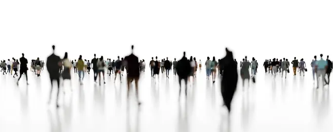 An AI Assistant that Inherits and Evolves Expert Knowledge