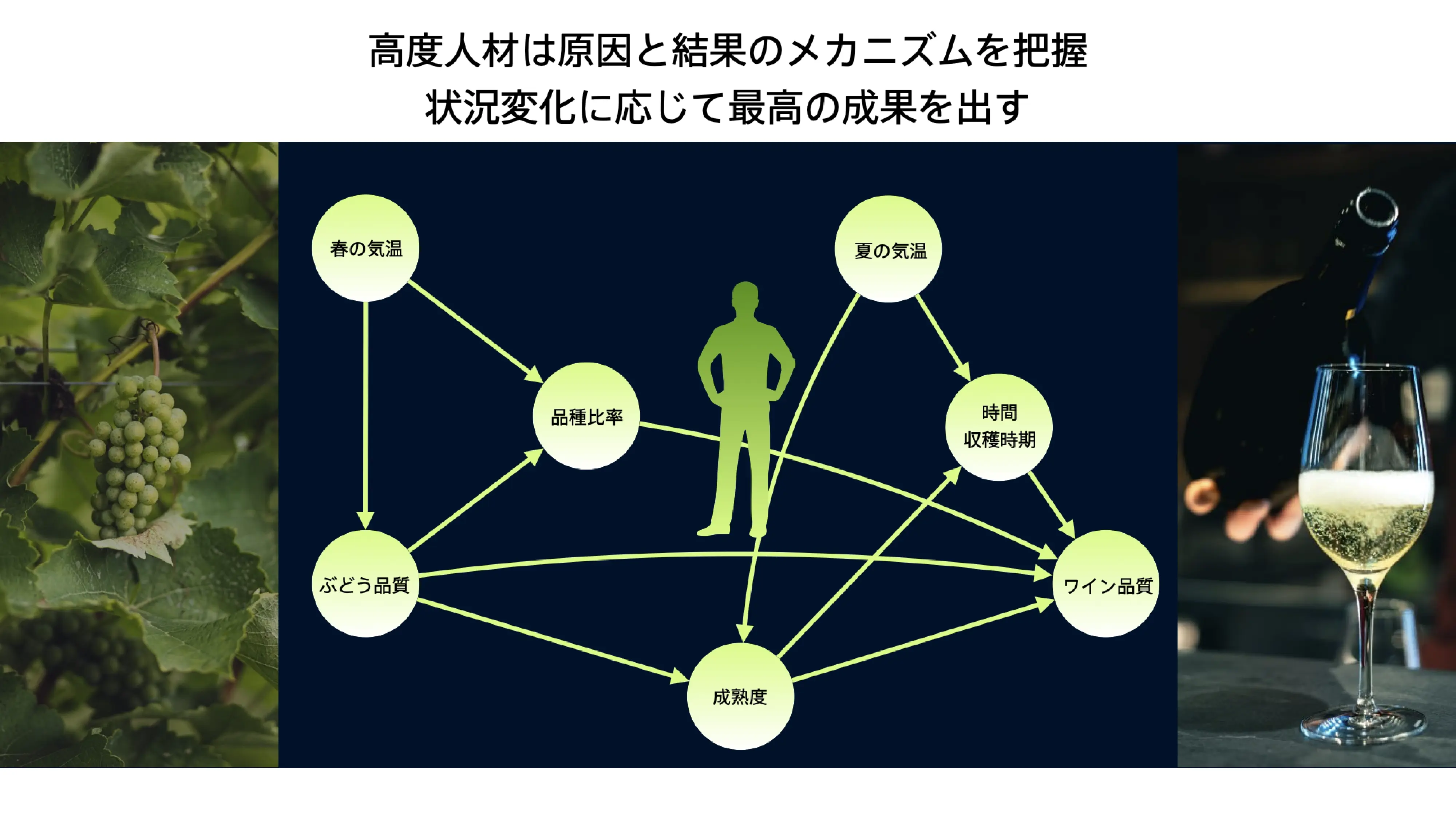 高度人材は原因と結果のメカニズムを把握 状況変化に応じて最高の成果を出す