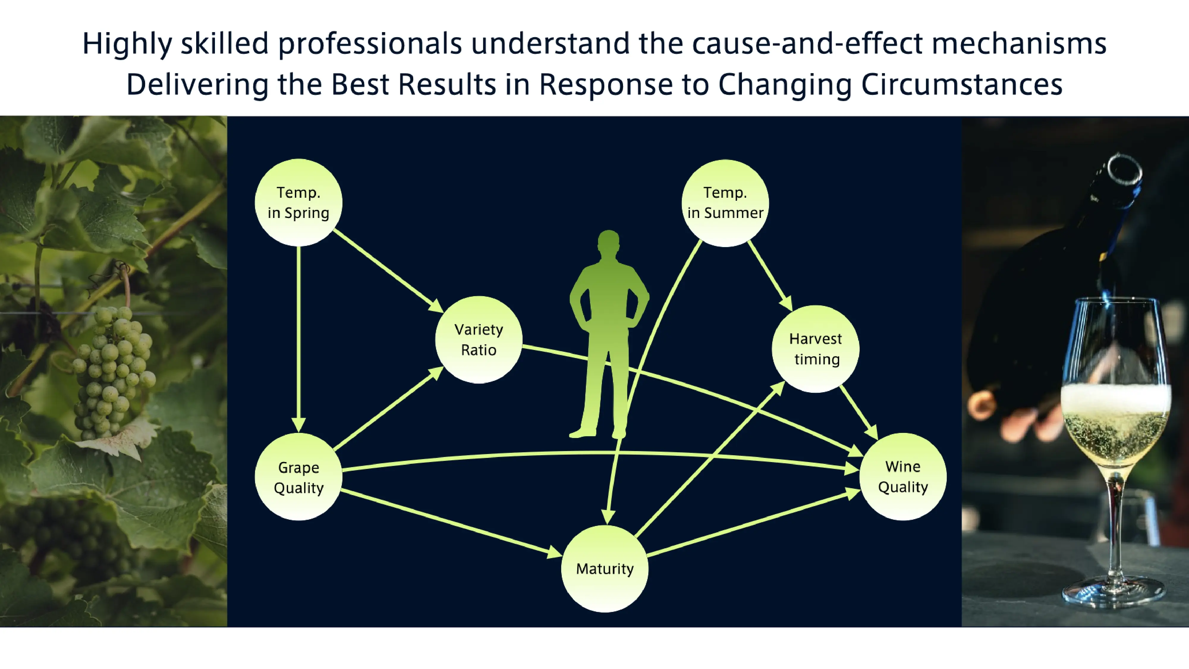 Highly skilled professionals understand the cause-and-effect mechanisms